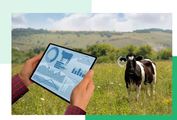 Milk Delivery Solutions Who we are Team